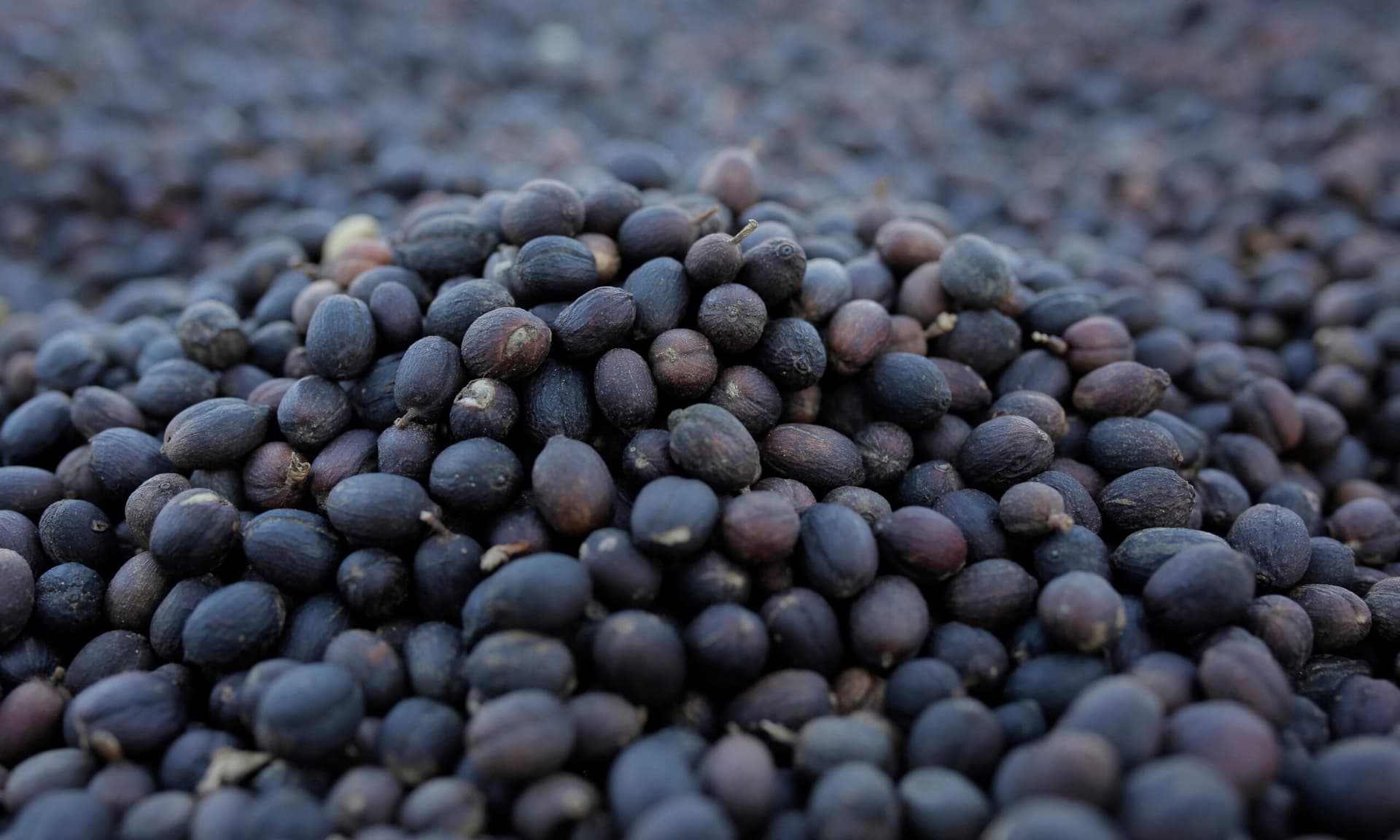 قائمة أكبر شركات القهوة في العالم 2023