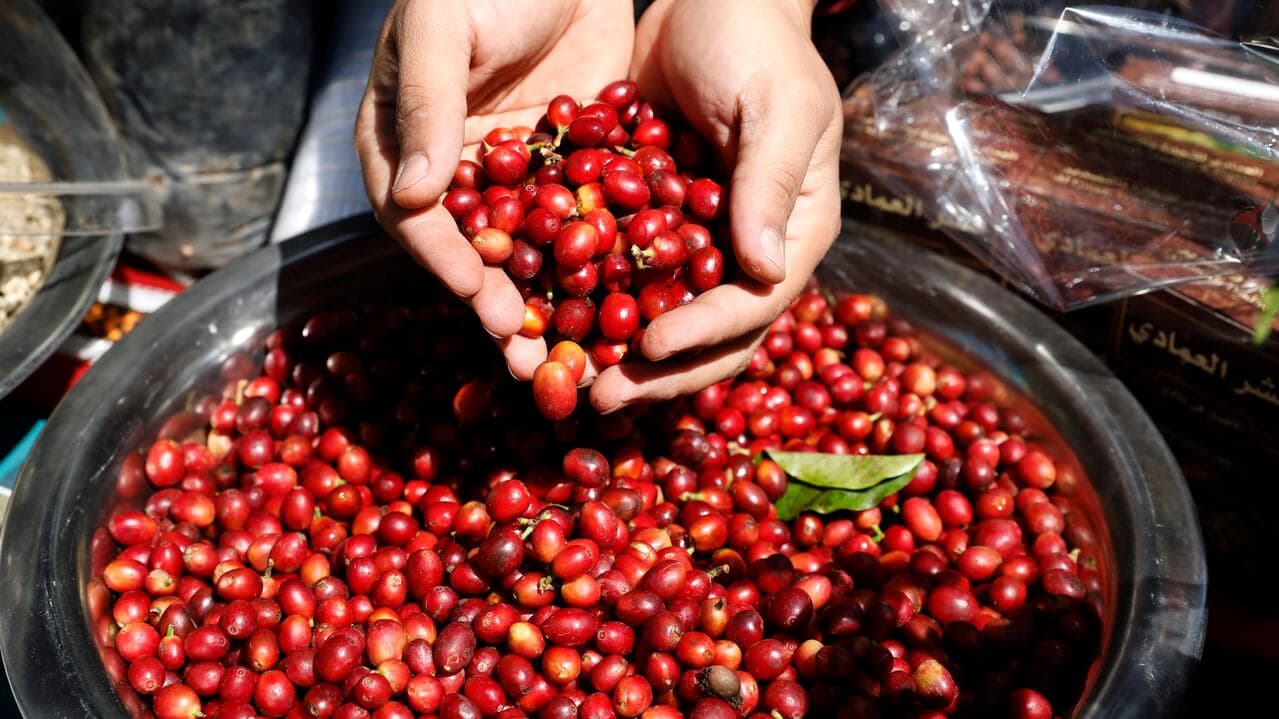 from Bean to Biofuel: How Coffee By-Products are Driving Sustainability in Coffee-Producing Regions