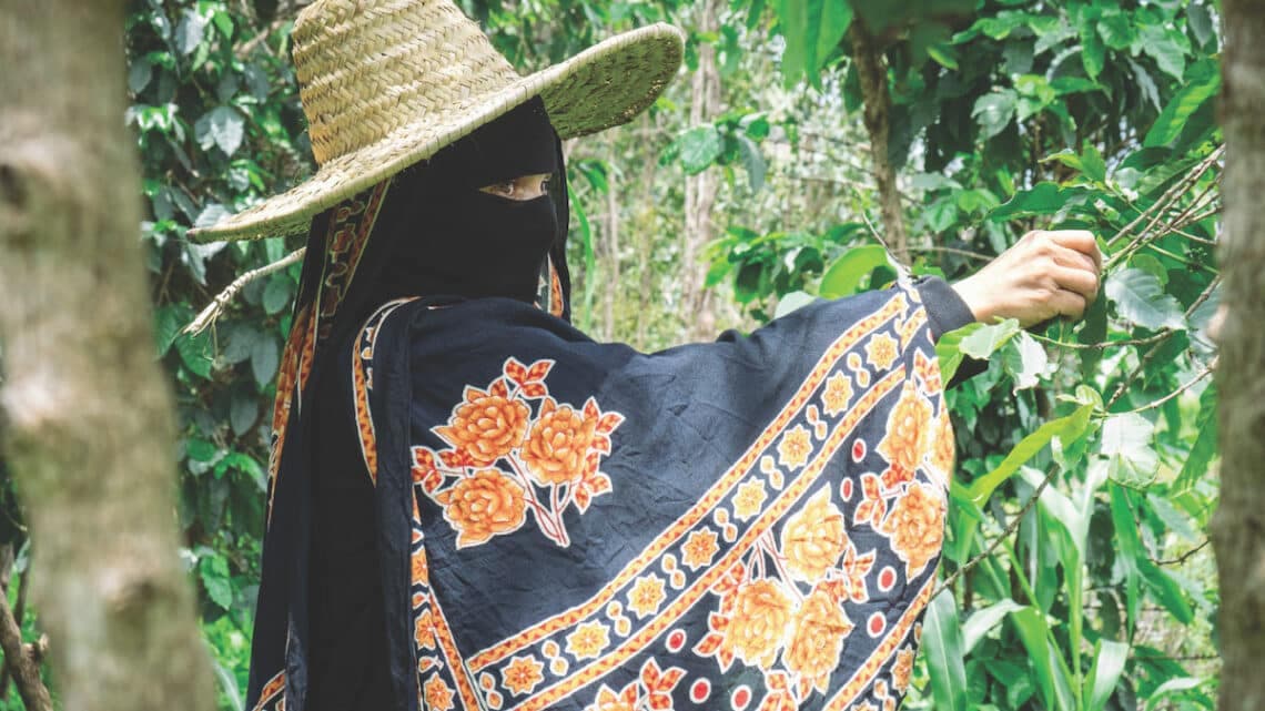 Best of Yemen Auction 2024 Breaks Record for Yemeni Coffee