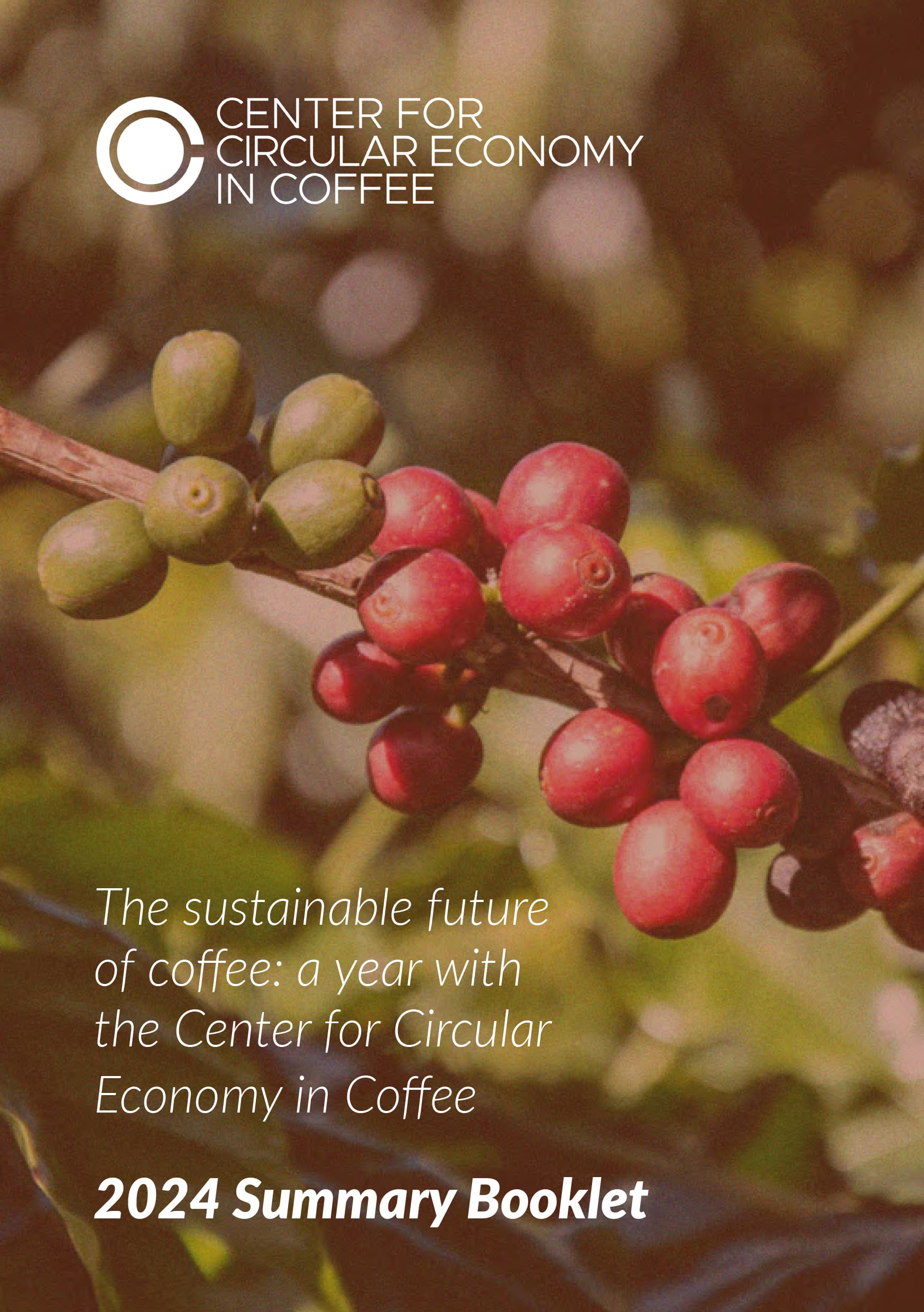 Центр Круговой Экономики Кофе опубликовал ежегодный отчет за 2024 год и раскрыл планы на 2025 год