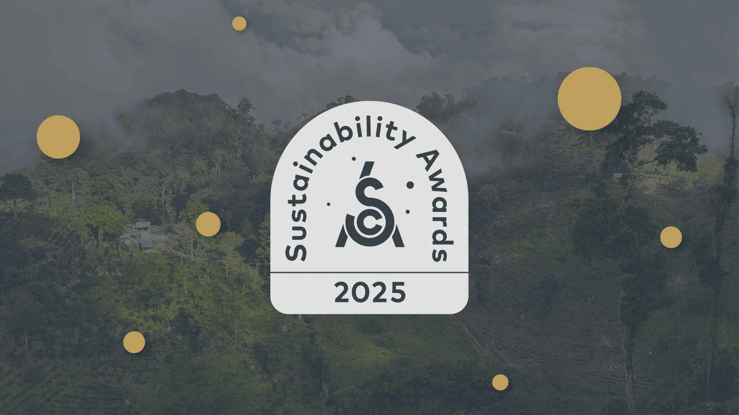 The Specialty Coffee Association Announces the Opening of Nominations for the 2025 Sustainability Awards
