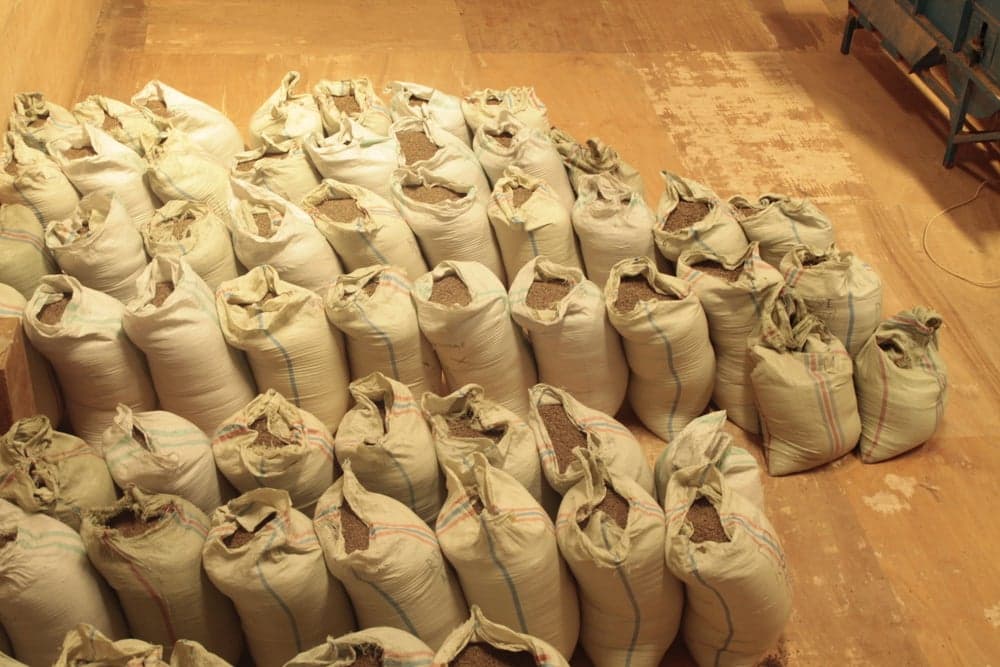 Глобальные рынки кофе под пристальным вниманием: волатильность цен и проблемы производства