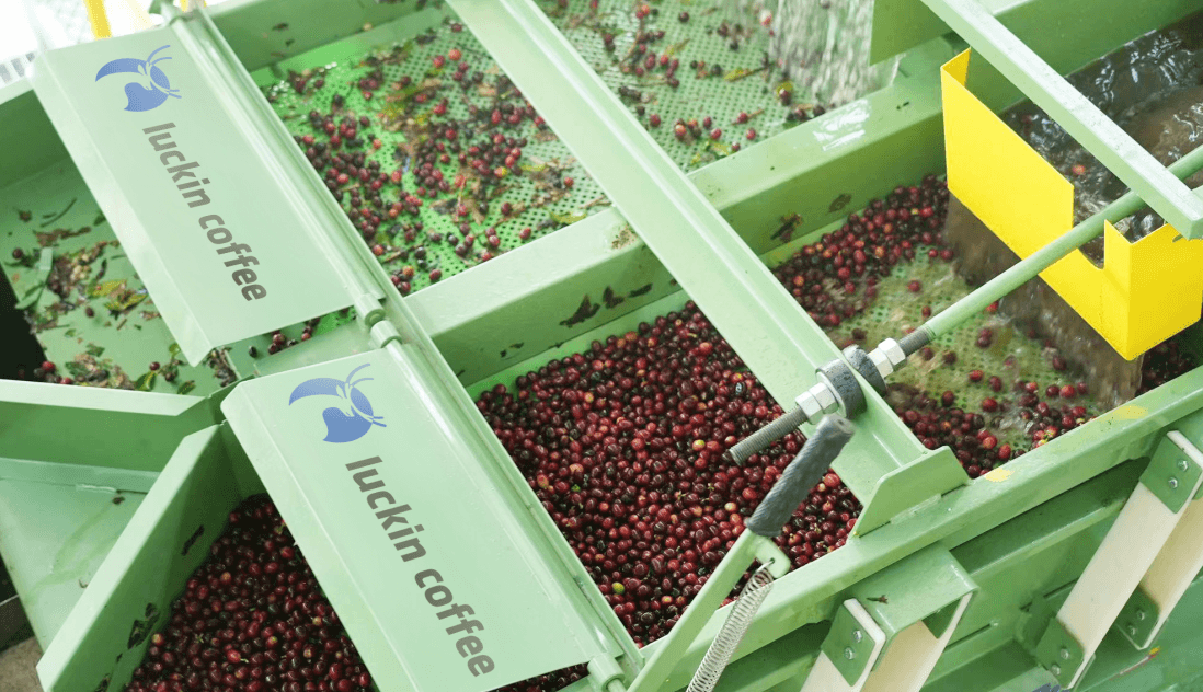 Luckin Coffee Powers Through Q2 2025 with Strong Growth in Sales and Store Expansion