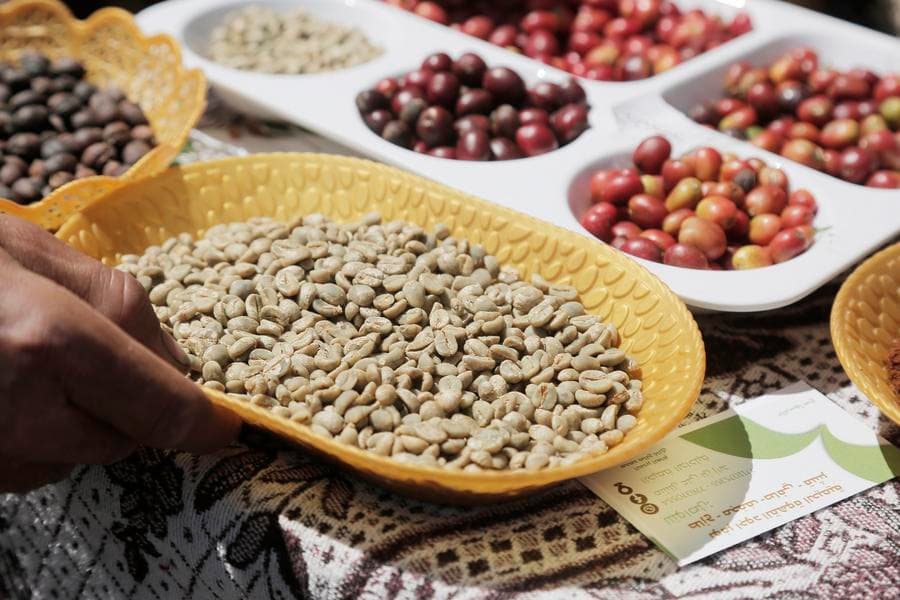 Синьхуа: В йеменских горах сохраняется надежда там, где растёт кофе