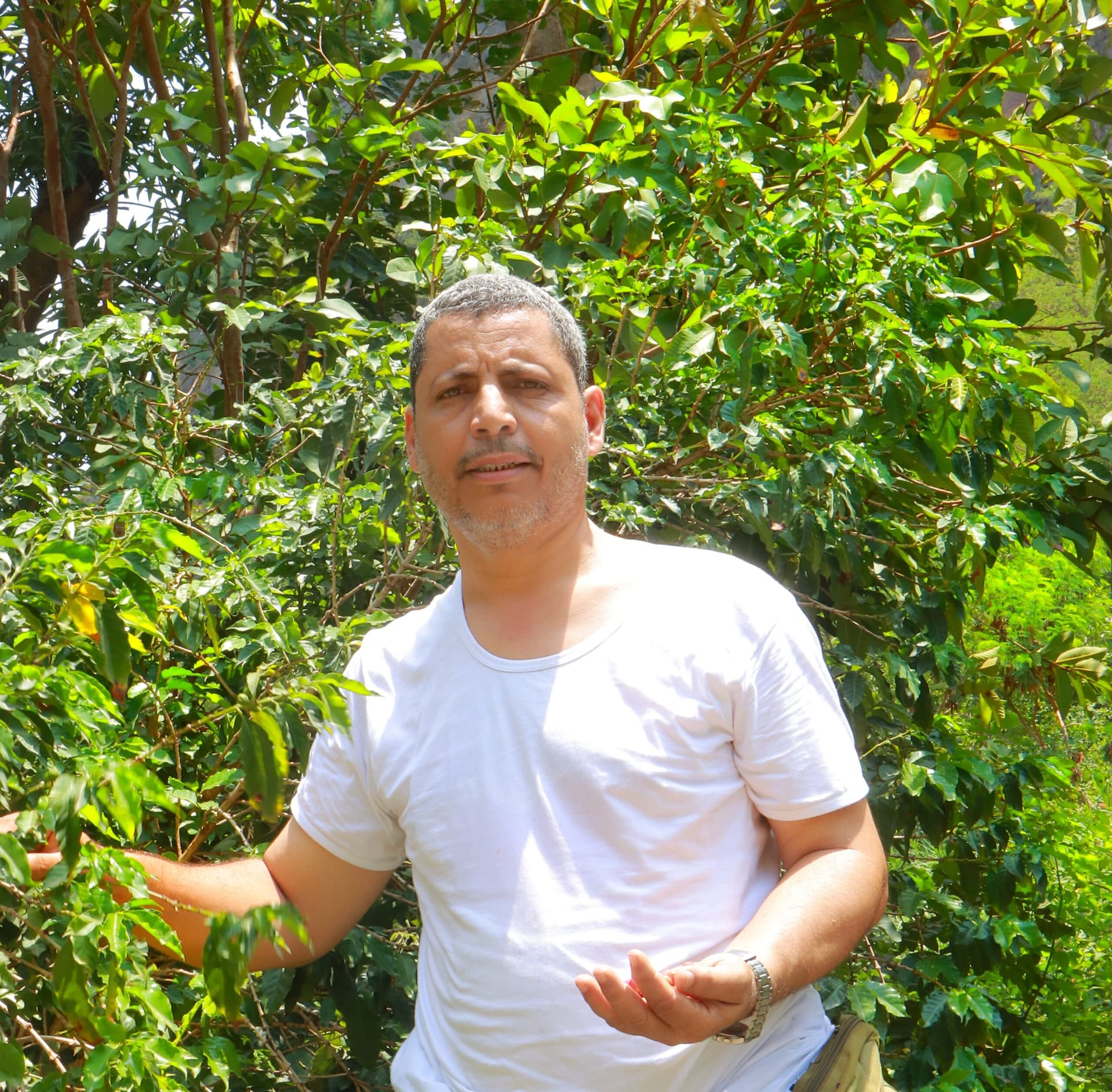 Фейсал Абду Саид ат-Тахри: герой аль-Удейна и хранитель наследия йеменского кофе