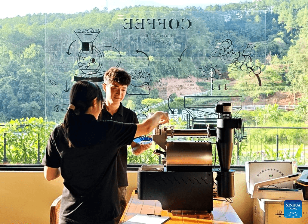 Кофейная индустрия поддерживает местную экономику Пуэра в китайской провинции Юньнань