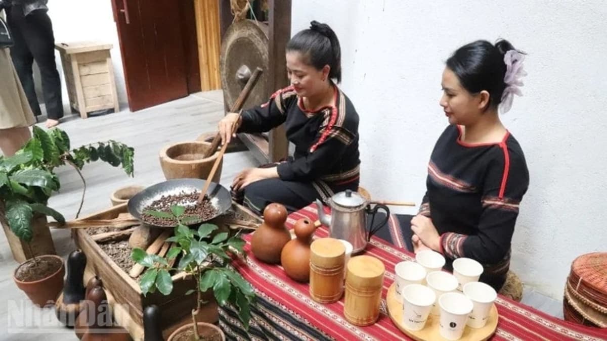 Vietnam: The Journey of Coffee Cultivation and Processing Knowledge Towards Global Recognition