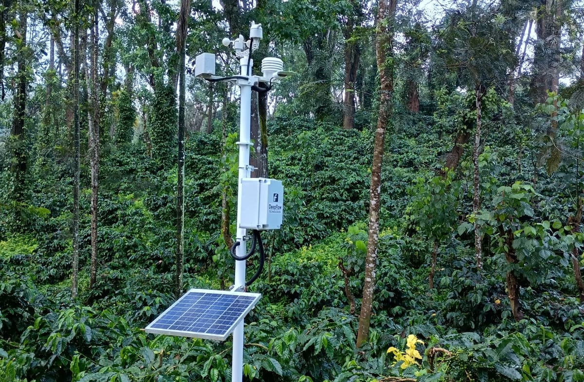 Kelachandra Coffee Elevates Sustainability with Deepflow Climate Intelligence