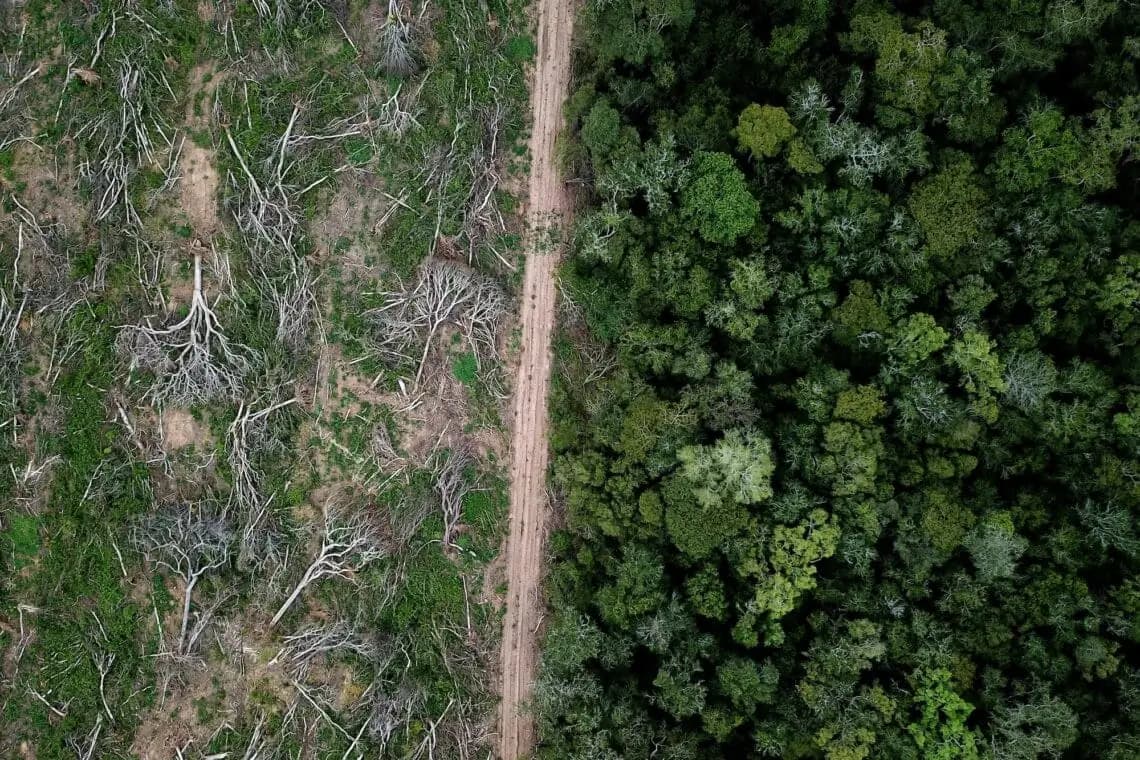 Pros and Cons of the Latest EUDR Postponement