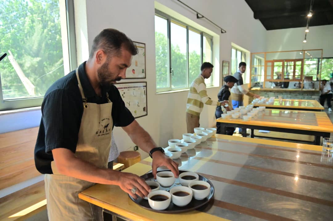 Наше видение