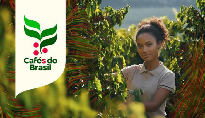 Brazilian Coffee Ends 2025 with Record Revenues Exceeding $15.6 Billion