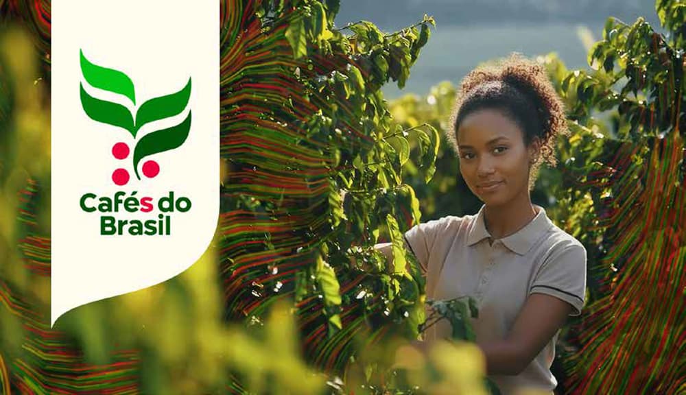Brazilian Coffee Ends 2025 with Record Revenues Exceeding $15.6 Billion