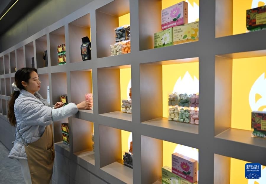 Puyang Launches Integrated Coffee Production Chain in China