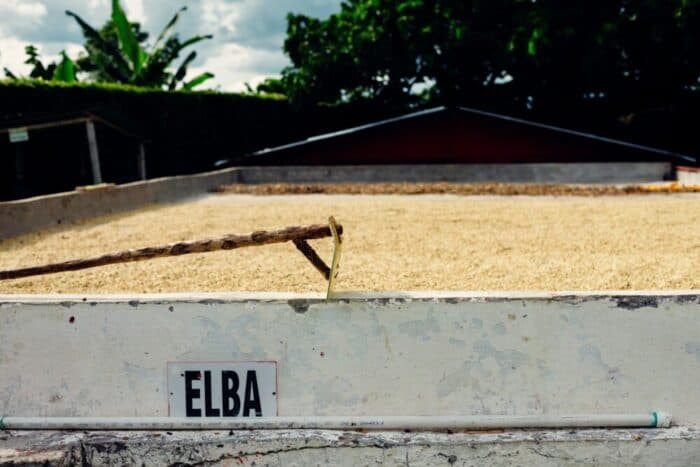 طرق معالجة القهوة في الأمريكتين