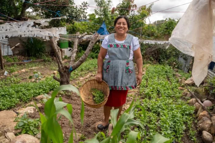 WFP Leads Project to Strengthen Coffee Farmers’ Resilience in Guatemala
