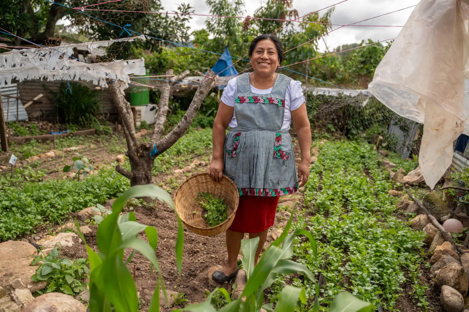 WFP Leads Project to Strengthen Coffee Farmers’ Resilience in Guatemala