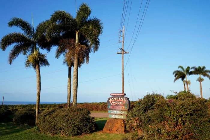 Uncertain Future for Kauai Coffee as Lease Nears End