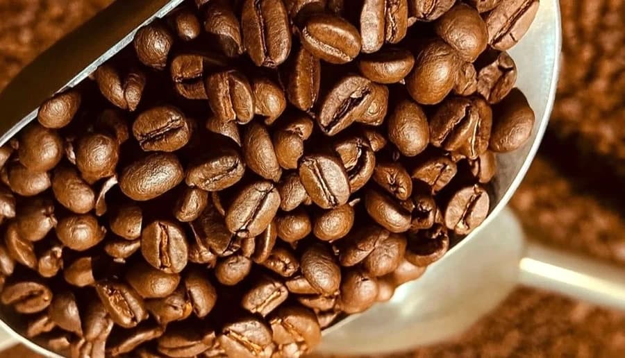 Global Coffee Prices Rise as Roasters Step In After Recent Slump