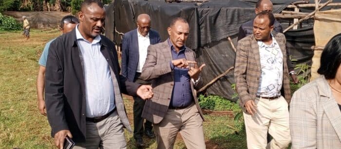 Ethiopia Launches Strategic New Phase for Tea Development