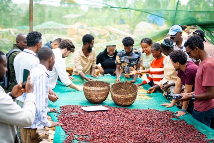 Coffee Quality Institute Announces 2026 Global Coffee Fund Details