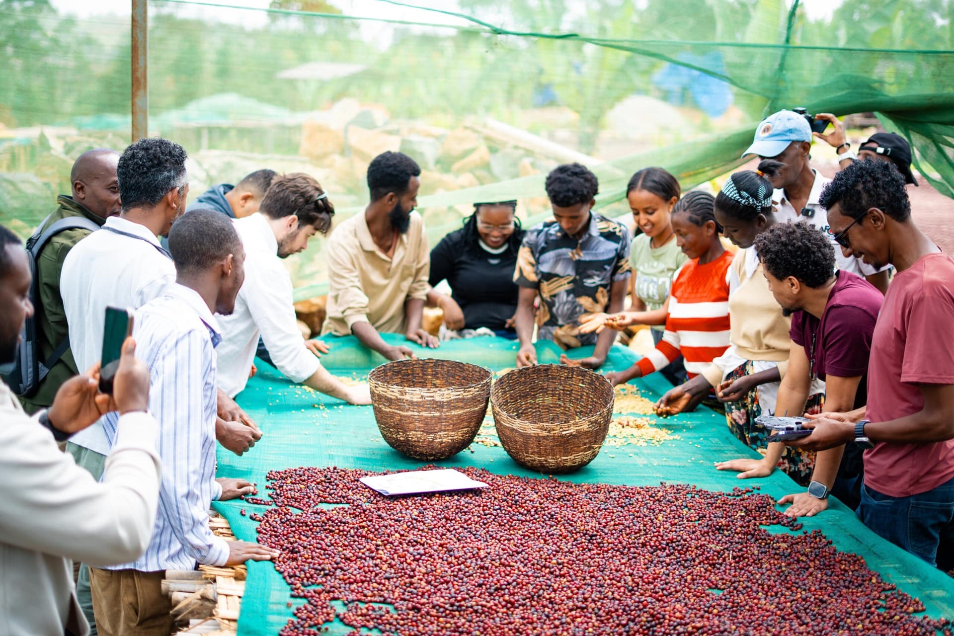 Coffee Quality Institute Announces 2026 Global Coffee Fund Details