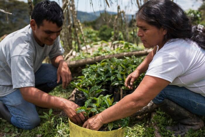 Coffee Sector Adopts Procurement Principles to Strengthen Farmer Livelihoods