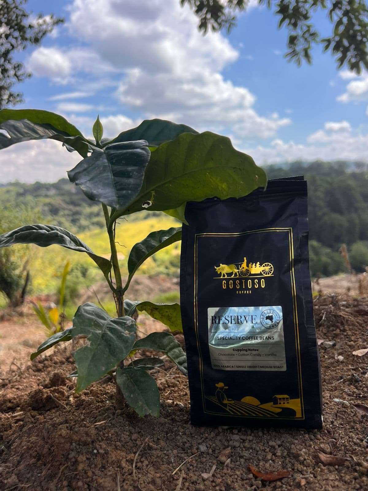 Gostoso Coffee: Redefining Brazilian Specialty Coffee
