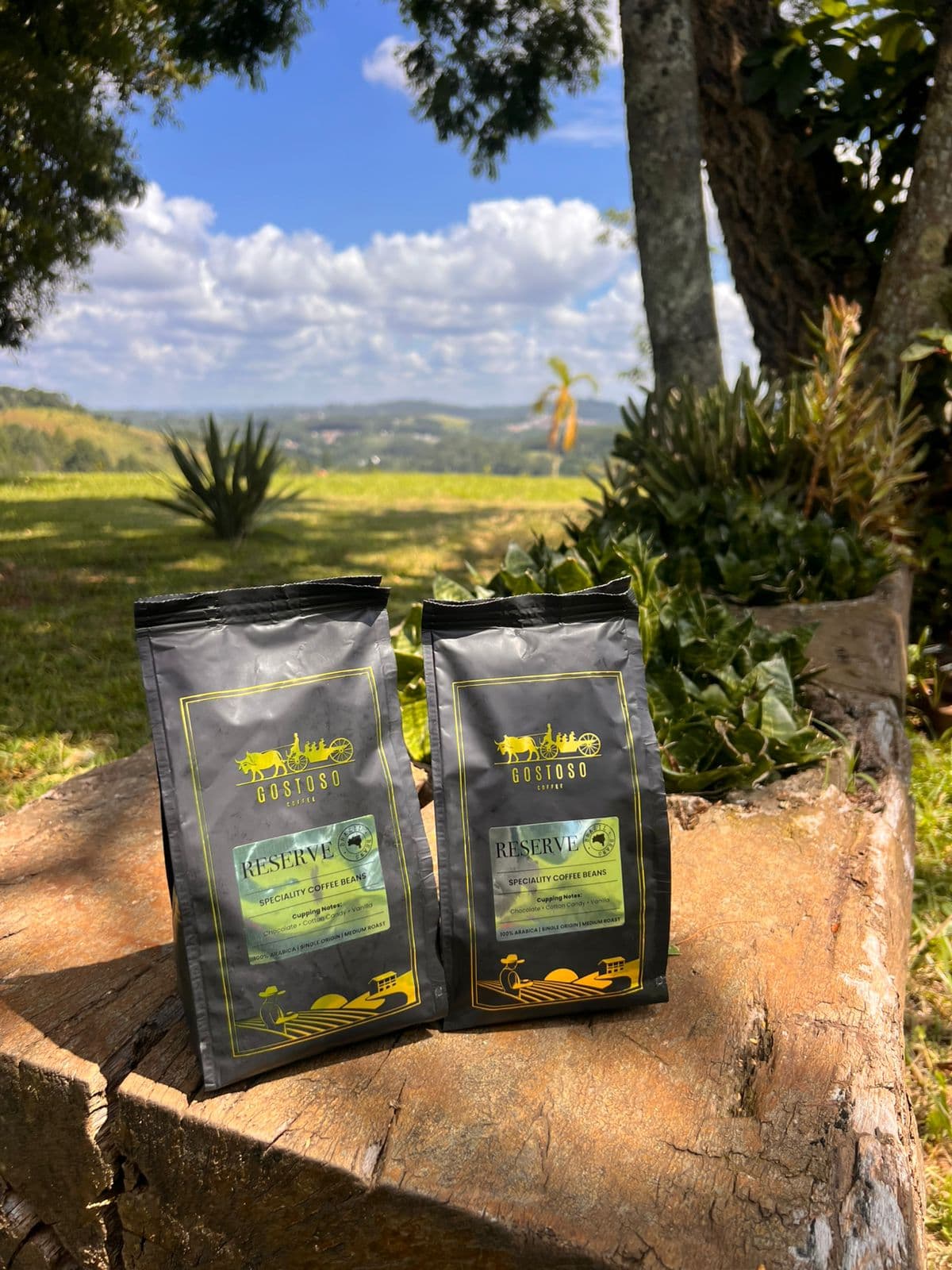 غوستوسيو كوفي.. إعادة صياغة القهوة البرازيلية المختصة