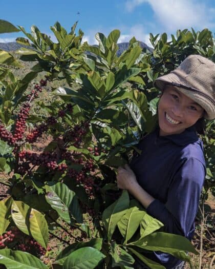 حرب إيران ومخاطر الإمدادات تحلق بأسعار القهوة