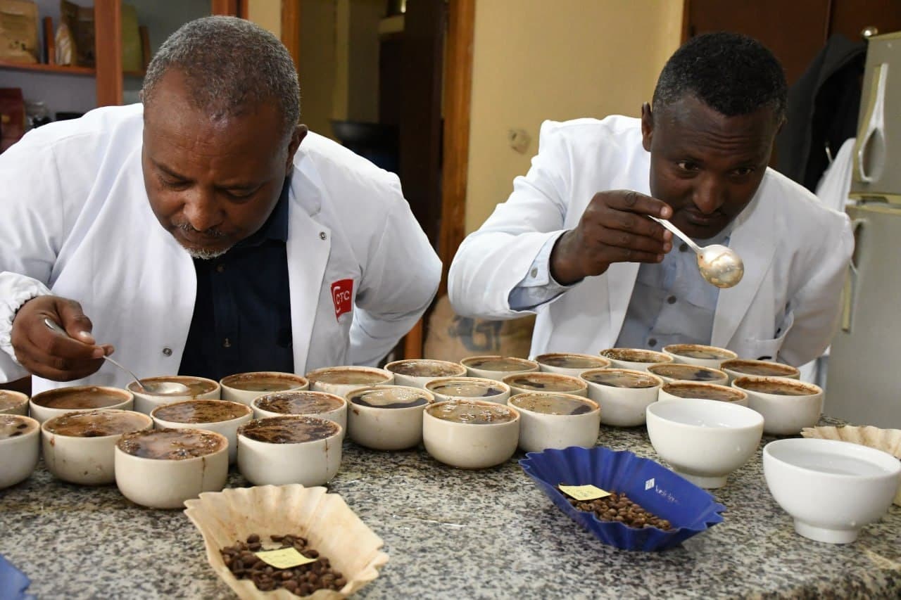 Эфиопия открывает центр подготовки специалистов по кофе