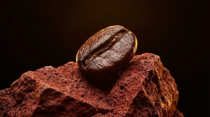 Coffee Prices Supported by Shrinking ICE Inventories as Supply Tightens