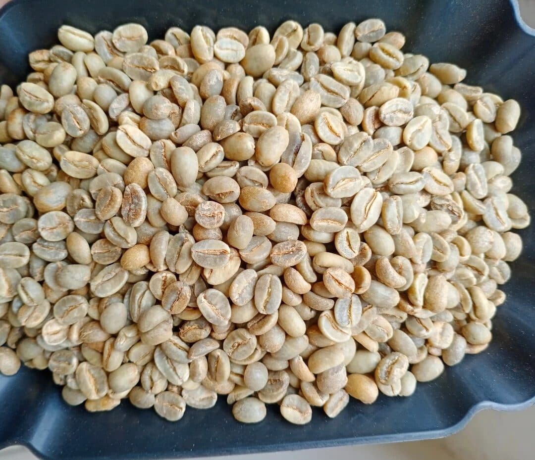 Indonesian Coffee Output Drops 8% to 11.38 Million Bags