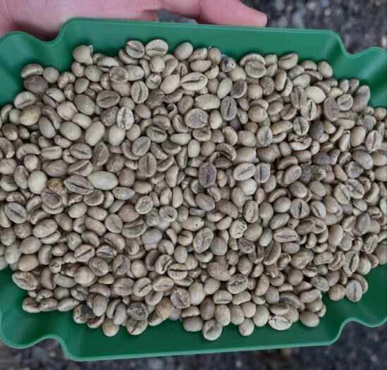 Robusta Coffee Rallies on Vietnam Dry Weather
