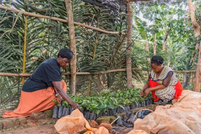 International Coffee Partners Support Integrated Livelihoods and Strengthen Women in the Coffee Sector in 2025