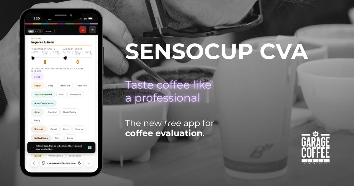 SensoCup CVA: The First Free Digital Tool for Professional Coffee Evaluation According to SCA Standards