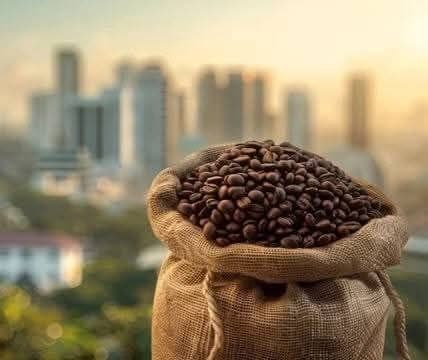 Кофе возвращается к бычьему тренду после роста на 49%