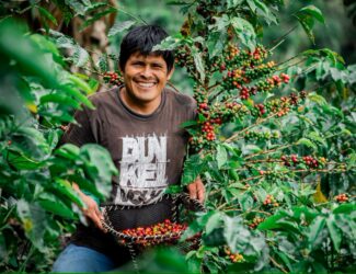 Peruvian Coffee Conquers the World: Exports Grew Over 30% in 2024