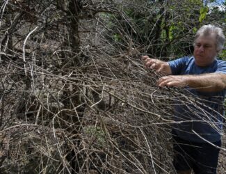 Unprecedented Fires Threaten Coffee Production in Brazil and Drive Prices Up