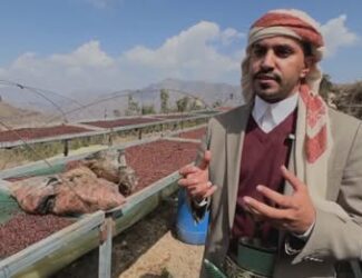 Russian Report: Yemeni Farmers Enhance Coffee Flavor Through Special Preparation