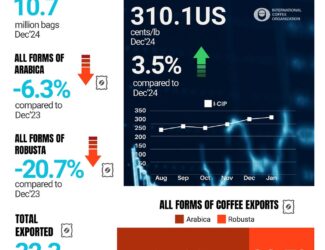 Глобальный рынок кофе демонстрирует смешанные тенденции на фоне резкого снижения экспорта робусты