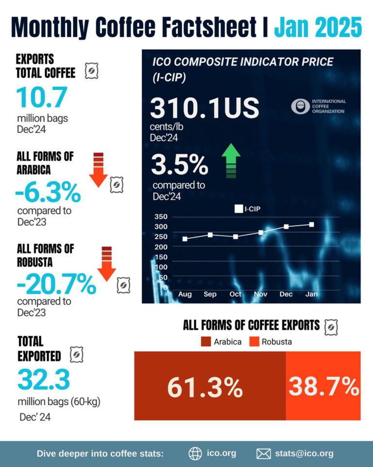 Global Coffee Market Sees Mixed Trends as Robusta Exports Decline Sharply