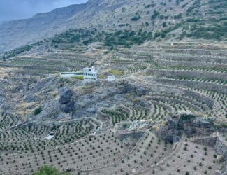 Jabal Bun Farm… Coffee Above the Clouds