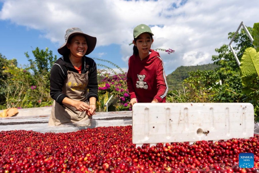 Pu'er: China’s Coffee Capital Blends Agriculture and Tourism into a ...