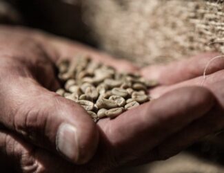 FAO: Global Coffee Prices Increased by Nearly 40% in 2024