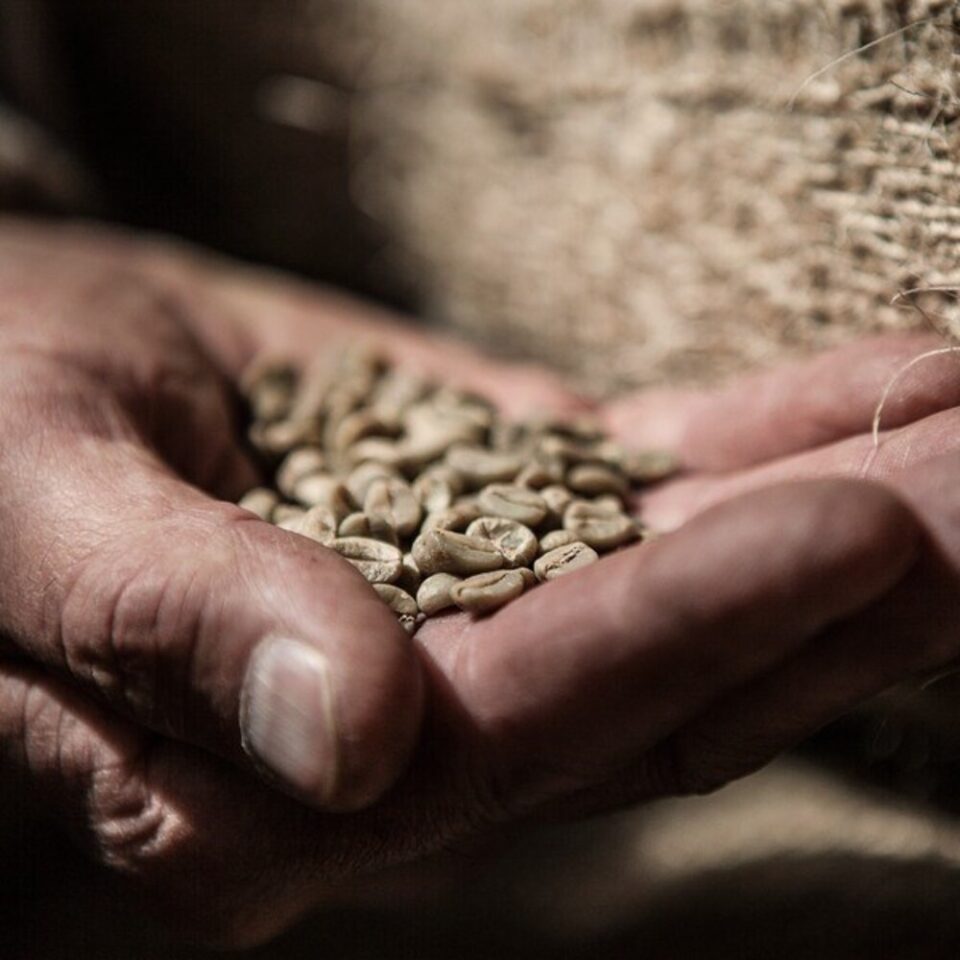 FAO: Global Coffee Prices Increased by Nearly 40% in 2024