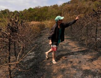 Drought in Brazil Drives Coffee Prices Higher