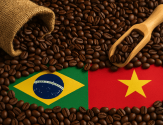 Global Coffee Prices Rise on Brazil and Vietnam Supply Concerns Amid Tariff and Weather Pressures