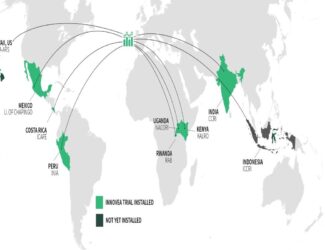 Innovea Global Arabica Trials Advance in Seven Countries, Paving the Way for a New Era in Coffee Breeding