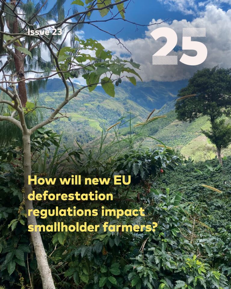 EU Deforestation Regulation Puts Peruvian Coffee Farmers at Risk of Market Exclusion