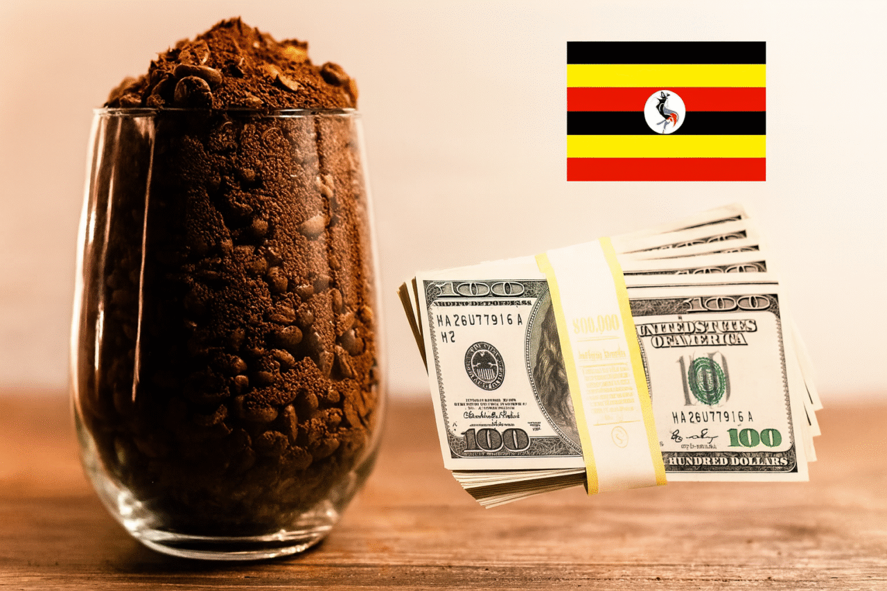 A clear glass filled with ground and whole coffee beans sits on a wooden surface. Beside it, a stack of U.S. hundred-dollar bills is bundled with a yellow band, and the Ugandan flag appears in the background, symbolizing coffee export earnings